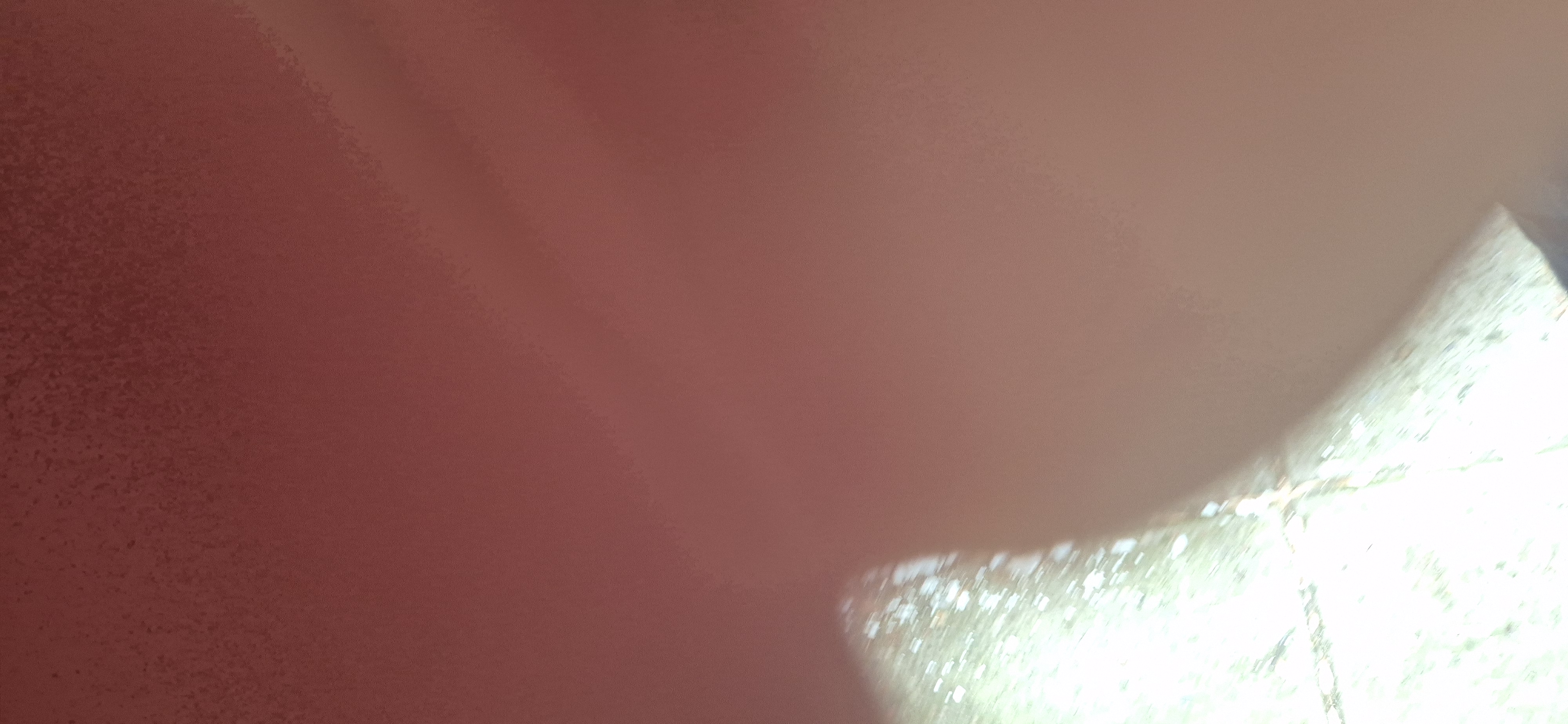 logoInmobiliariaPrueba