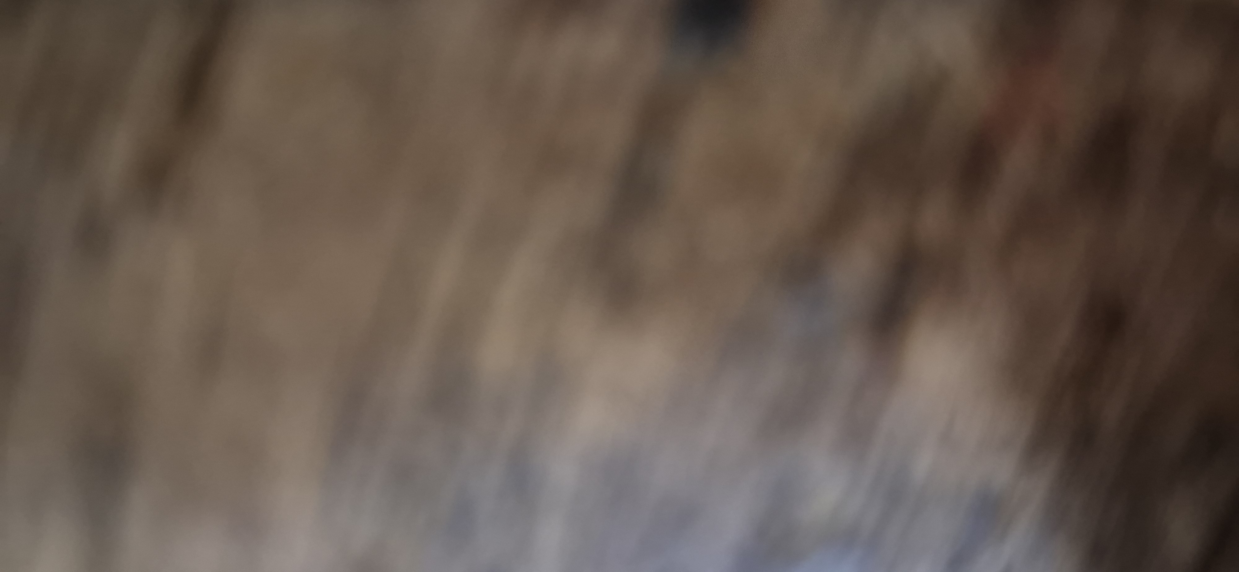 logoInmobiliariaPrueba