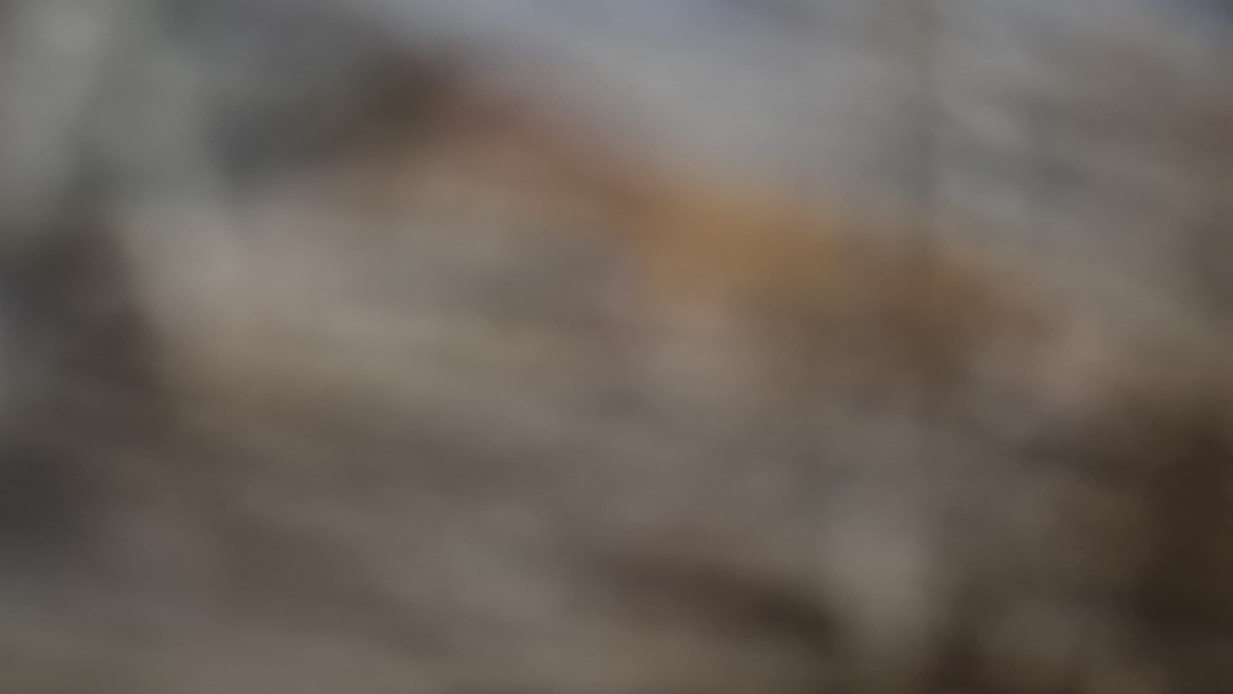 logoInmobiliariaPrueba