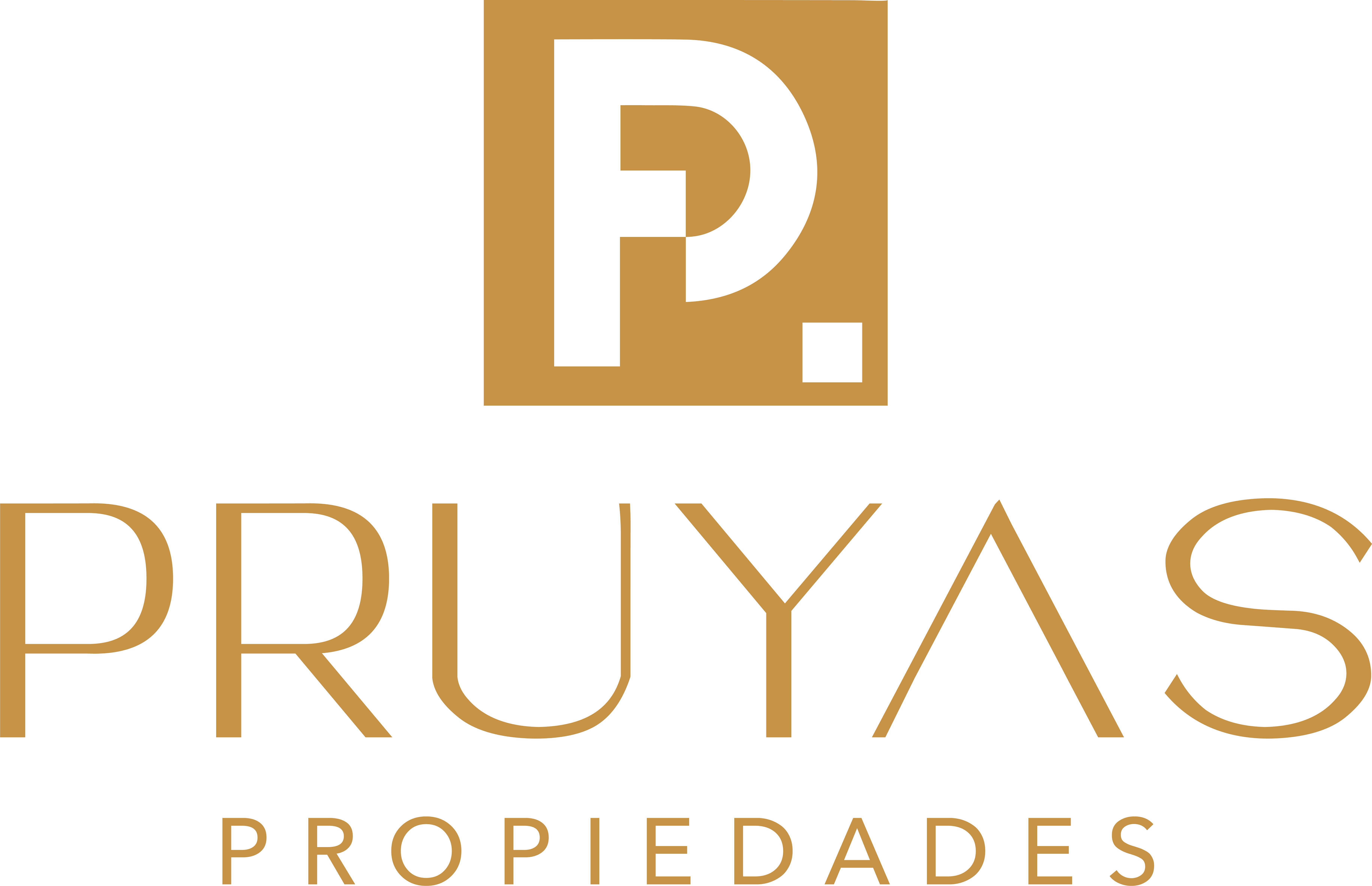 logoInmobiliariaPrueba